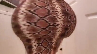 Big Ass Latina Stepmom & Stepson Affair